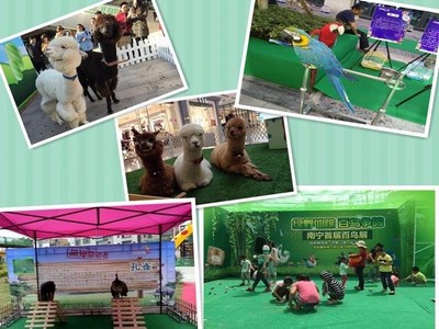 黔南州萌寵動(dòng)物展覽與經(jīng)營(yíng)性演出及經(jīng)紀(jì)業(yè)務(wù)費(fèi)用明細(xì)全解析